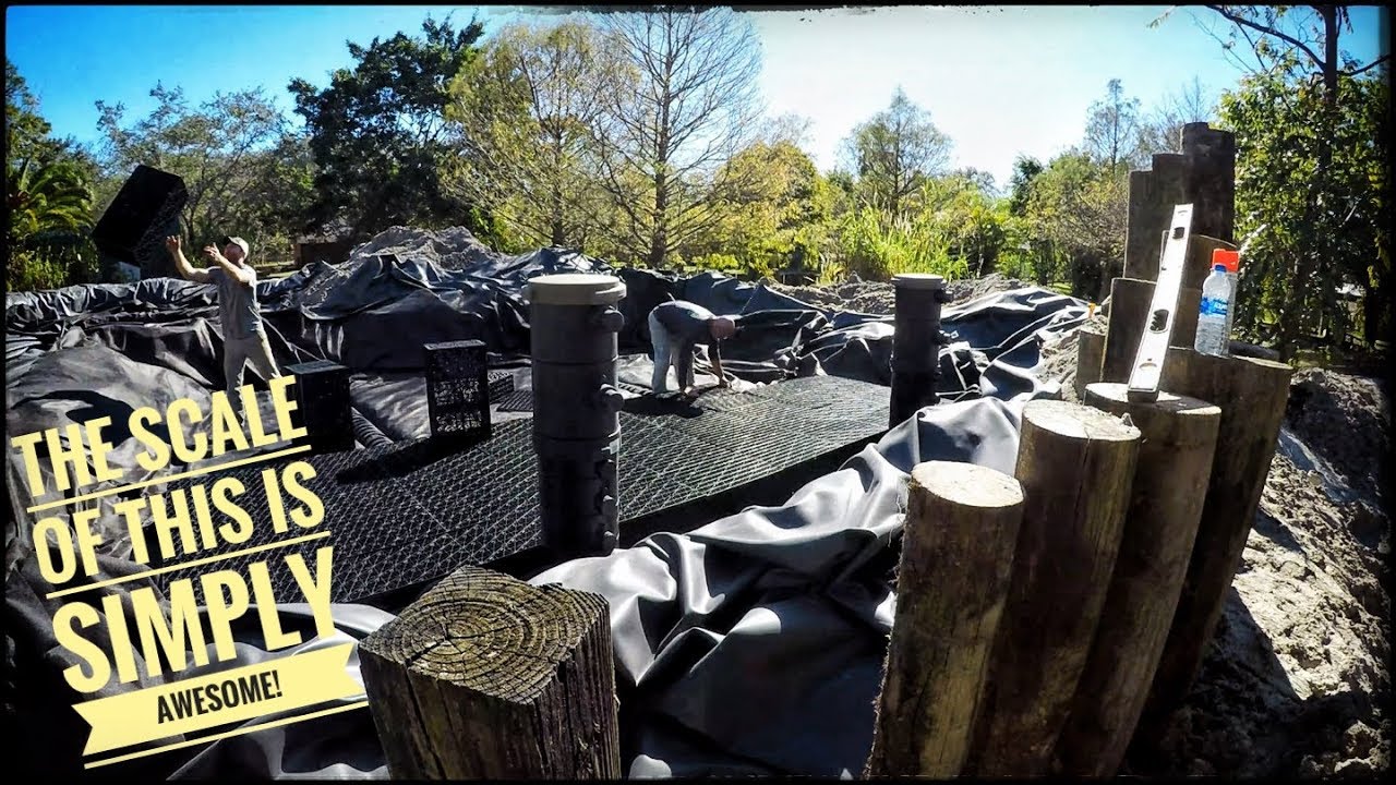 Projects2Fund's tweet card. Creating a GIGANTIC Man Made WETLAND FILTER!