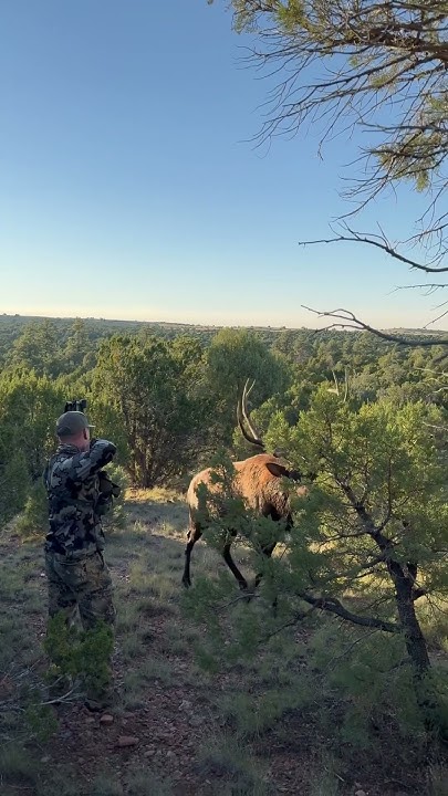 TeirOneexpoHoop's tweet card. Didn’t see us.