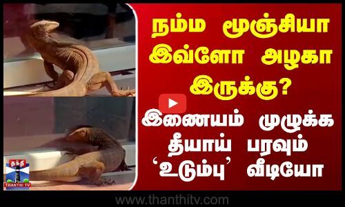 ThanthiTV's tweet card. கேரளாவில், ஏடிஎம் மையத்தின் கண்ணாடியில் பிரதிபலித்த உருவம் தனது உருவம் என கண்ணாடி கதவை திறக்க முயன்ற உடும்பின் காட்சி இணையத்தில் வைரலாகி வருகிறது. நீண்ட நேரமாக போராடி கதவை திறக்க முடியாமல் திணறிய...