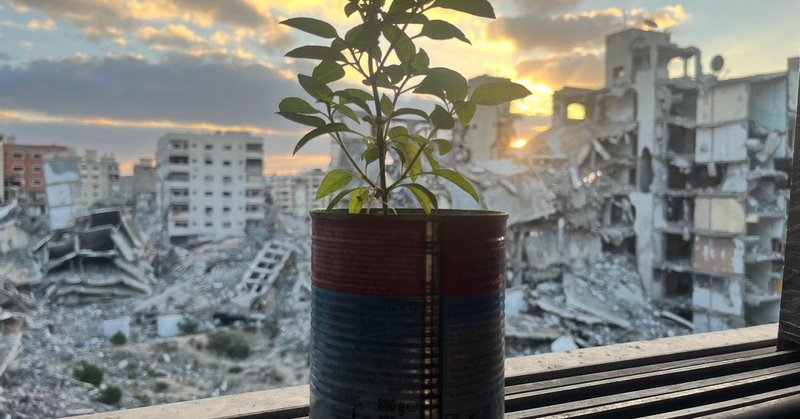 Tweet card summary image