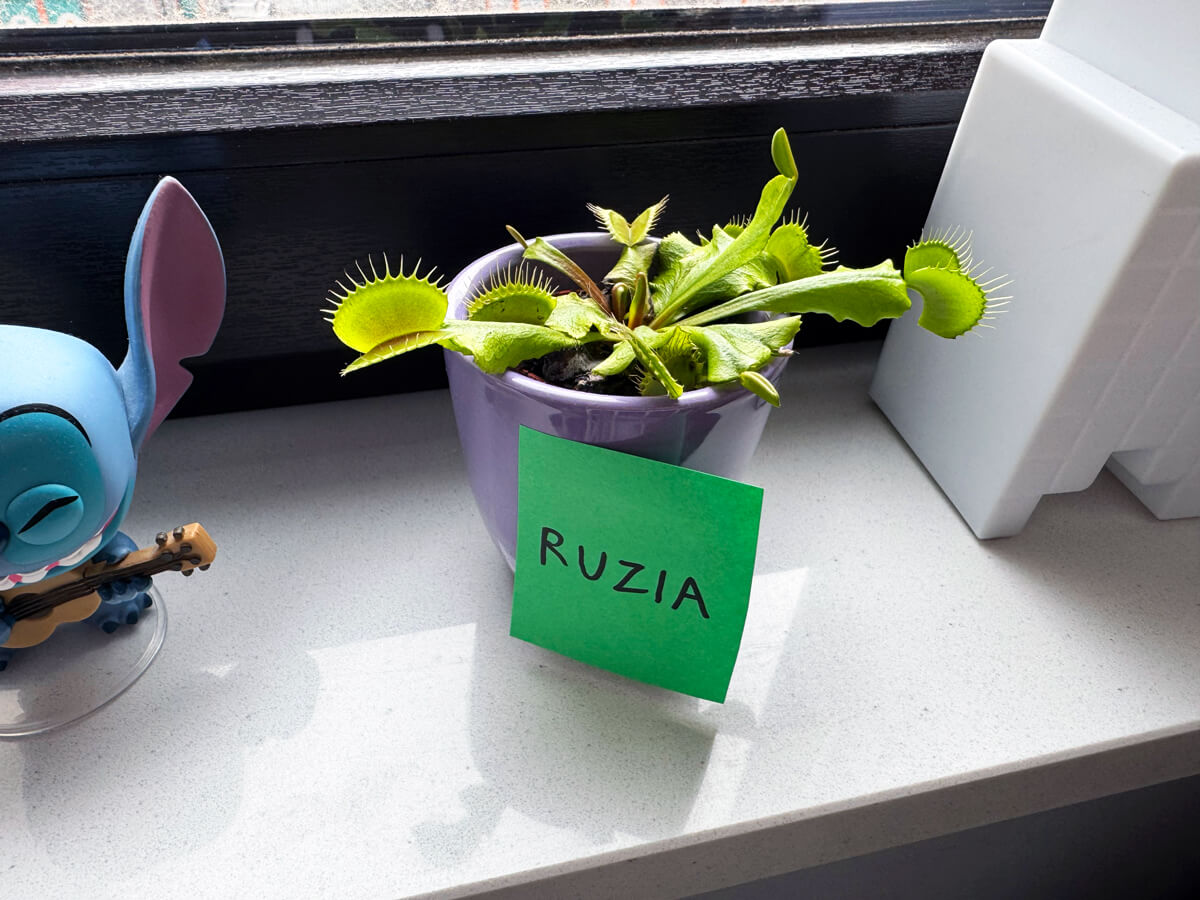 TataDeveloper's tweet card. Mamy w domu krwiożerczą bestię