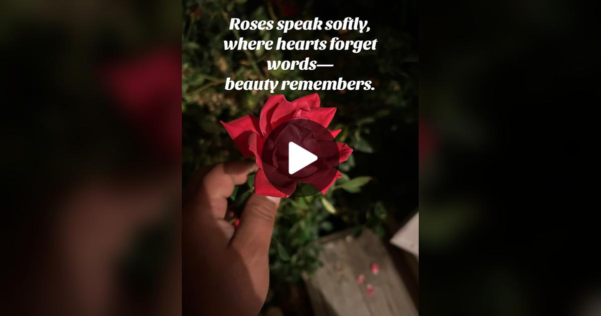 davessolutions's tweet card. Check out ❌Dave❌’s post.