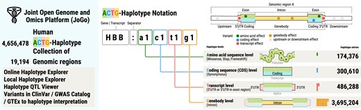 jsantoyo's tweet card. Abstract. The Joint Open Genome and Omics Platform 1.0 (JoGo) is a global, long-read-based human haplotype database covering 19 194 MANE-standardized prote