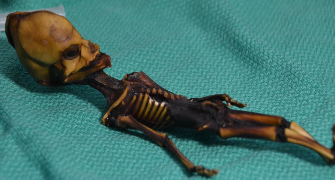 LITechNewsPosts's tweet card. A genomic study proved Ata is human, but now the study’s ethics are in question.