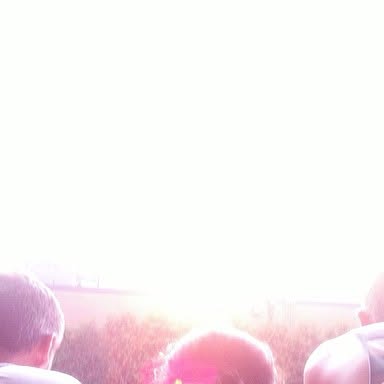 TandemTree's tweet card. Tandem Tree (@tandemtree) • Instagram photo