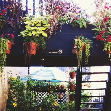 TandemTree's tweet card. Tandem Tree (@tandemtree) • Instagram photo