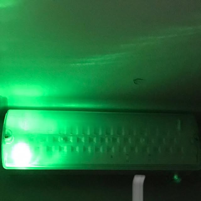 Reacthfd's tweet card. React (@reacthfd) • Instagram photo