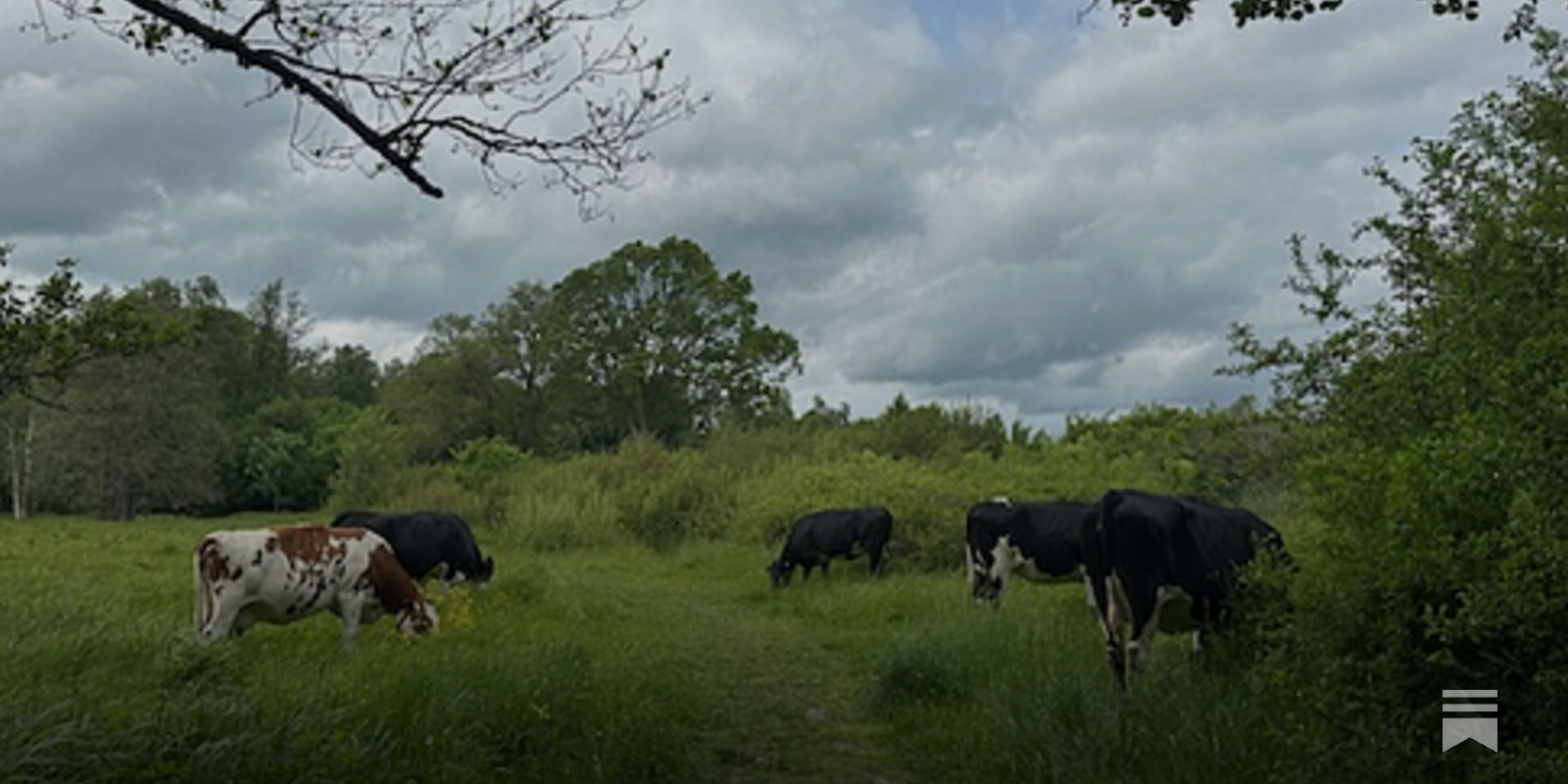 katjanouch's tweet card. Folkligt motstånd på sociala medier lönar sig. Enskilda individer, grävare, medborgarjournalister som kämpar för folket. Ett steg i taget kan vi förändra samhället till det bättre.