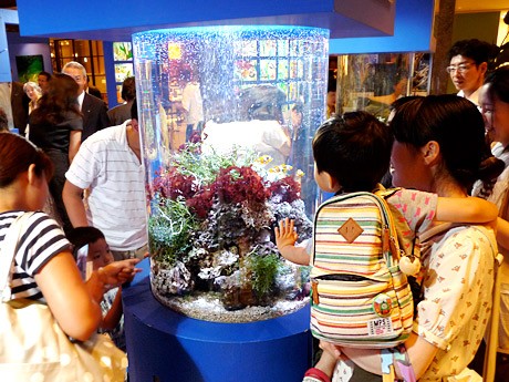 tokai_retweeter's tweet card. ミッドランドスクエア（名古屋市中村区名駅4）地下1階のアトリウムで7月27日、ミニ水族館が登場する「名古屋港水族館 AQUA LIVE in ミッドランドスクエア」が始まった。