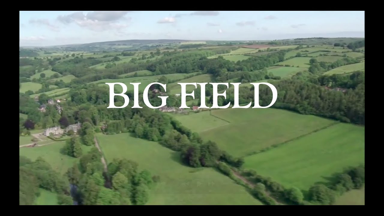 Darren_Dutton's tweet card. BIG FIELD Episode 1 BADGERS