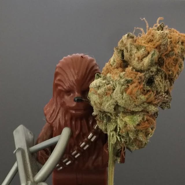 kindstack's tweet card. Kindstack.com (@kindstack) • Instagram photo