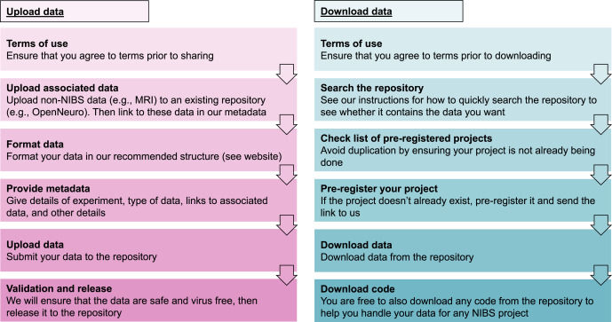 danieltcorp's tweet card. Methods of non-invasive brain stimulation (NIBS) are widely used in research and clinical settings. However, unlike other fields of neuroscience, such as neuroimaging and electroencephalography...