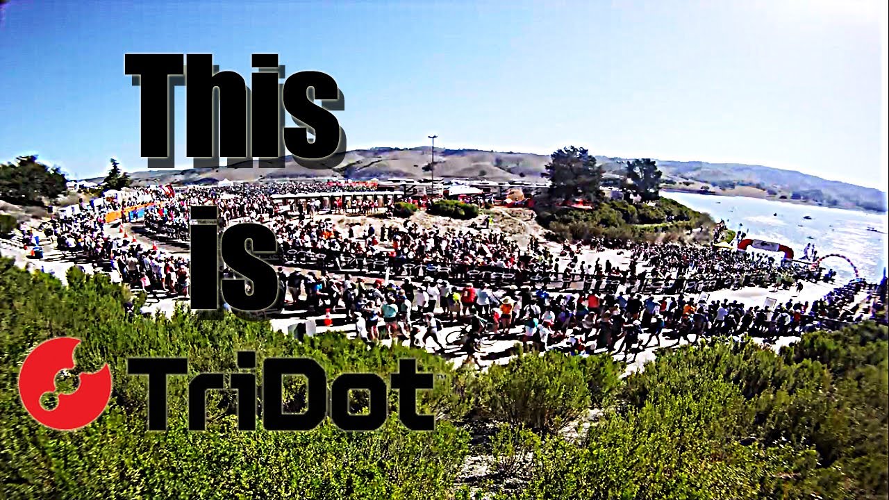 TriDotDoc's tweet card. This is TriDot | Triathlon Training and Coaching