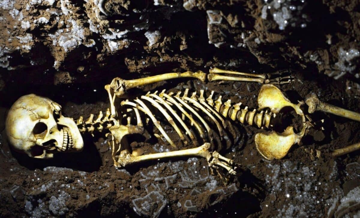 VTBCasts's tweet card. A crushed skull buried for over 30 years is now shaking the foundations of human history. Hidden in plain sight, this million-year-old fossil reveals a shocking twist that could push back the dawn of...