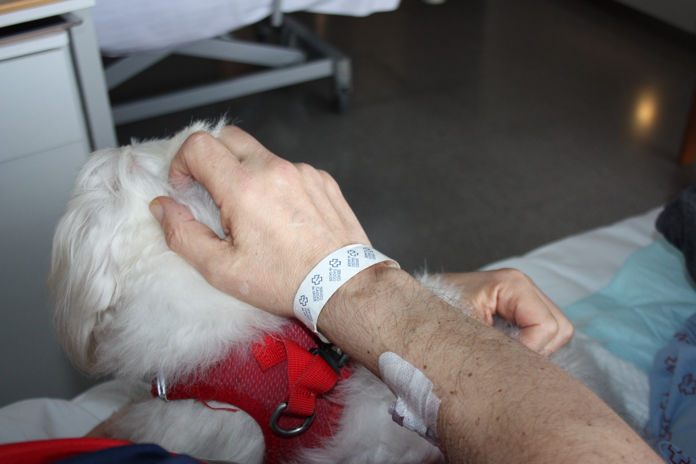 galiciapress's tweet card. Esta desigual distribución del tiempo y de las cargas para el cuidado de familiares impacta directamente en el salario, las oportunidades de ascenso y la estabilidad profesional ...