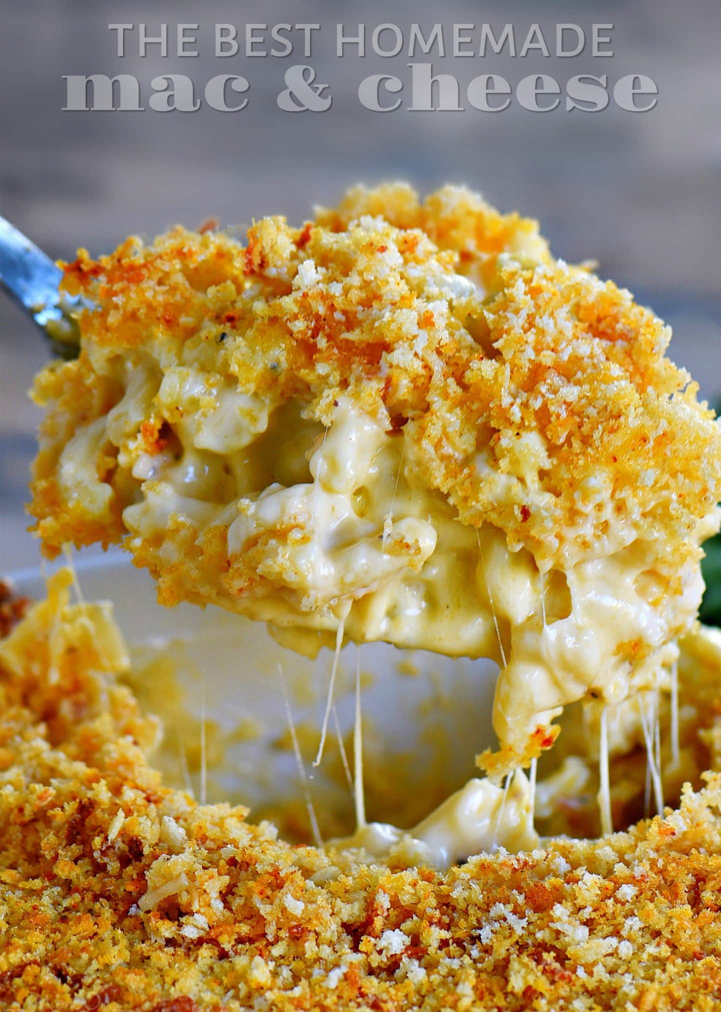 RCSDWilsonComm's tweet card. The BEST Homemade Mac and Cheese of your LIFE. Outrageously cheesy, ultra creamy, and topped with a crunchy Panko-Parmesan topping. Definitely a keeper!