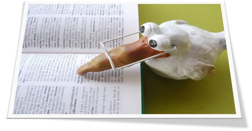 Gramatrix's tweet card. Chelsea Callonzo, después de considerar, entre otras cosas, esto, me whatsappea esto otro: Grandes, legítimas y cuatro dudas. Dudas que yo mismo he tenido y sigo teniendo, y que intento ir resolvie...