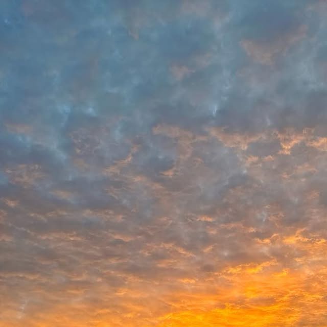 macbug's tweet card. Marc Brandenburg (@macbugogram) • Instagram photo