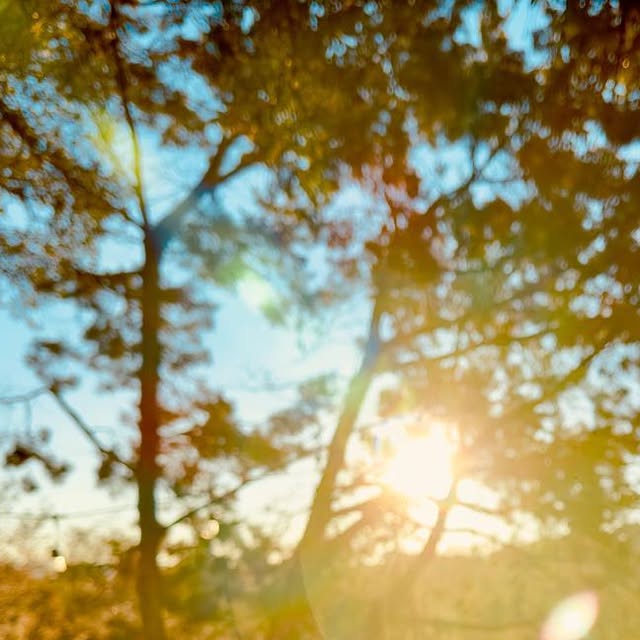 macbug's tweet card. Marc Brandenburg (@macbugogram) • Instagram photo