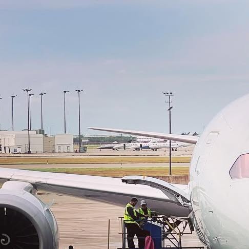 macbug's tweet card. Marc Brandenburg (@macbugogram) • Instagram photos and videos