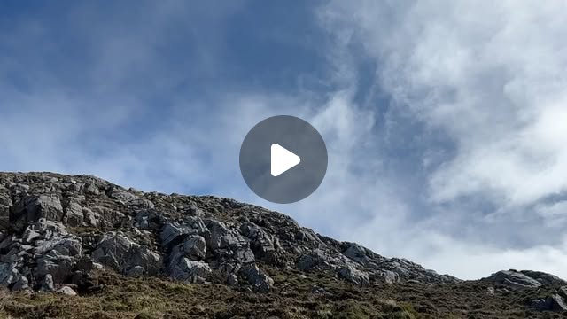 macbug's tweet card. Marc Brandenburg (@macbugogram) • Instagram photos and videos