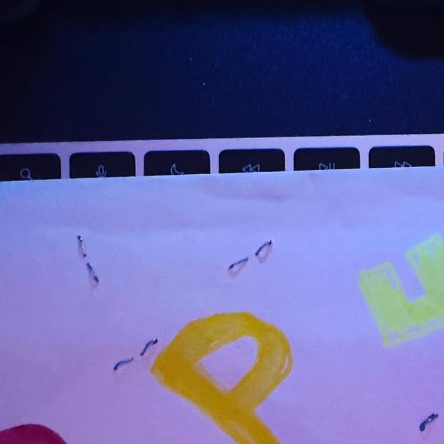 macbug's tweet card. Marc Brandenburg (@macbugogram) • Instagram photos and videos