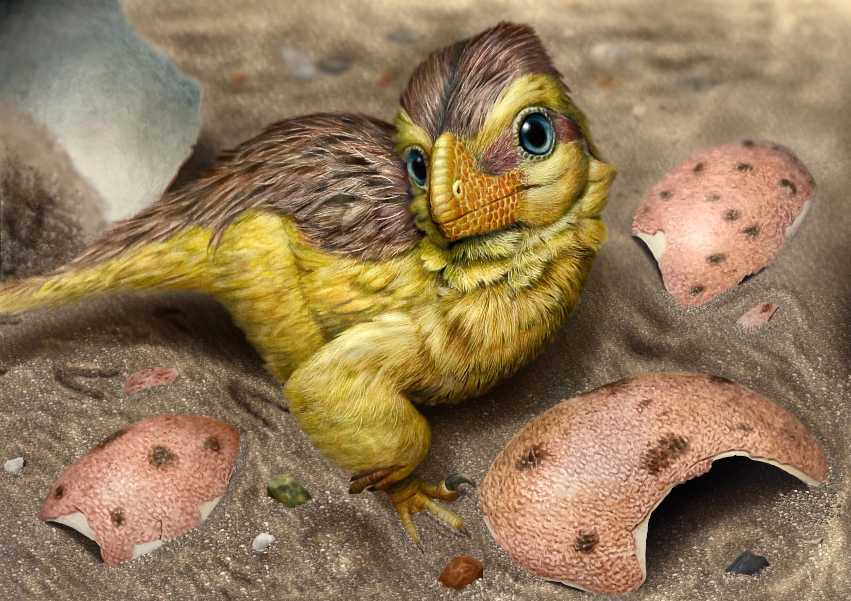 VTBCasts's tweet card. An international group of geologists and paleontologists has developed a new method to accurately determine the age of rocks that contain fossils by directly dating preserved dinosaur eggshells. An...