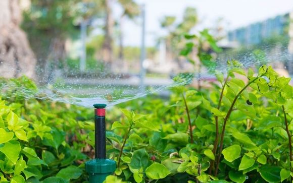 Flowcheck_LLC's tweet card. Offered by Flowcheck LLC - Mar 3rd - Apr 1st, 2018: Winter can be especially hard on irrigation systems. We’ll make sure your system is in top working order before the heat of summer hits. Service...