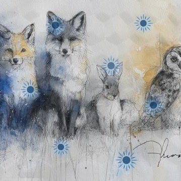 Tweet card summary image