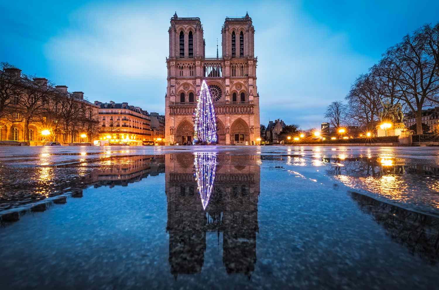 notcommonlyc's tweet card. Learn the story and lyrics of "Aujourd'hui le Roi des Cieux," the French version of the classic Christmas carol, "The First Noel."