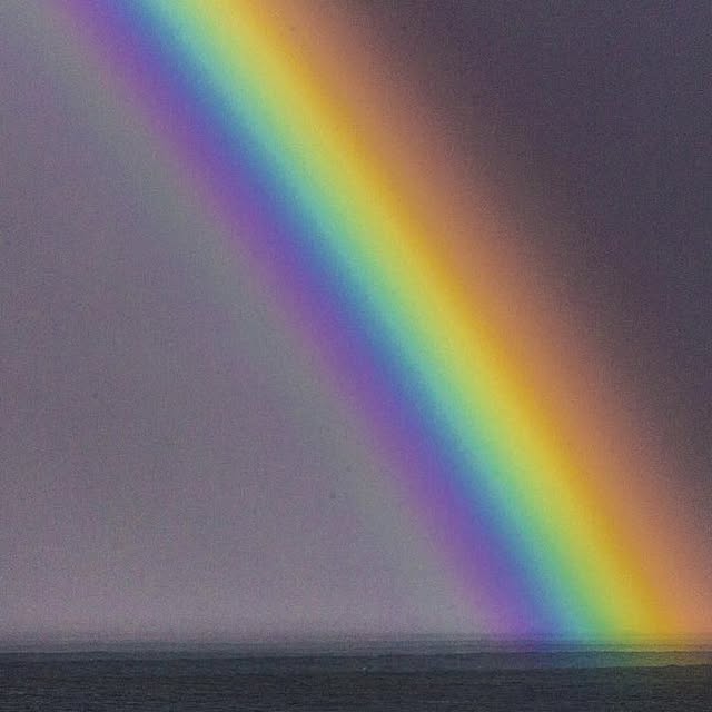 iDarshankc's tweet card. National Geographic (@natgeo) • Instagram photo