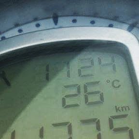 AdventureDjango's tweet card. DjangoAdventure (@djangoadventure) • Instagram photo