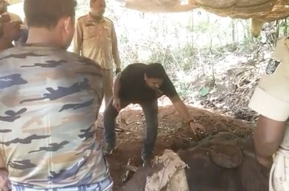 vfaes_org's tweet card. Cuttack: The elephant, which had sustained multiple gunshot wounds in Odisha’s Cuttack district, succumbed despite the treatment of veterinary doctors