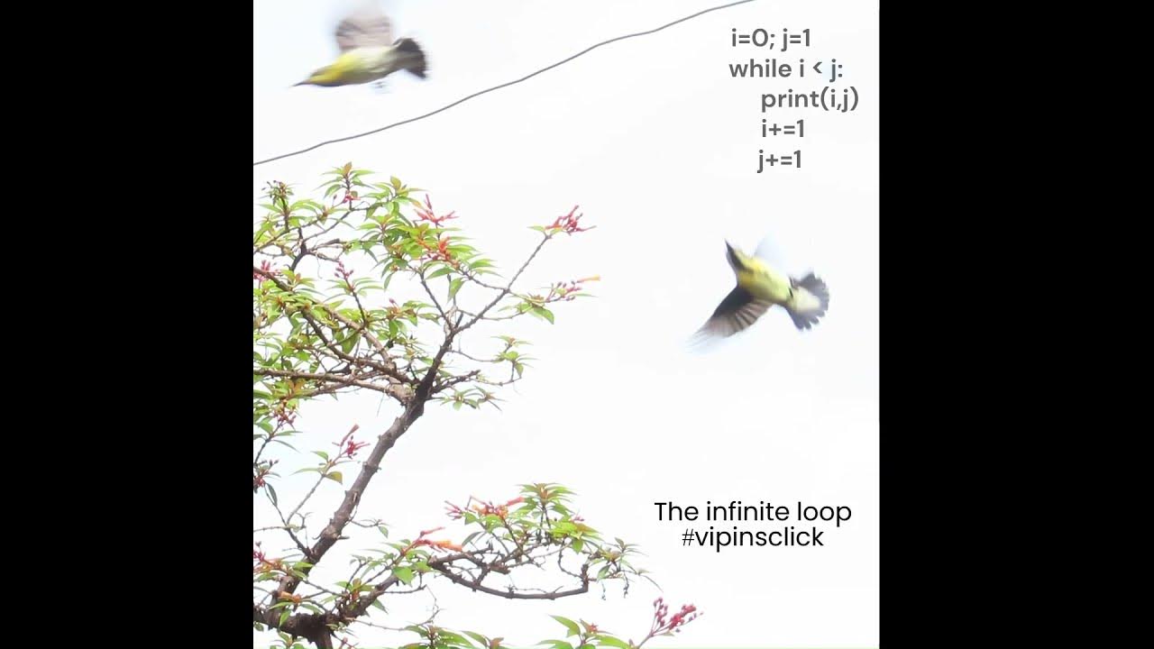 dr_vipin_singh's tweet card. The infinite loop #codememes #vipinsclick #infniteloop #karmacycle...