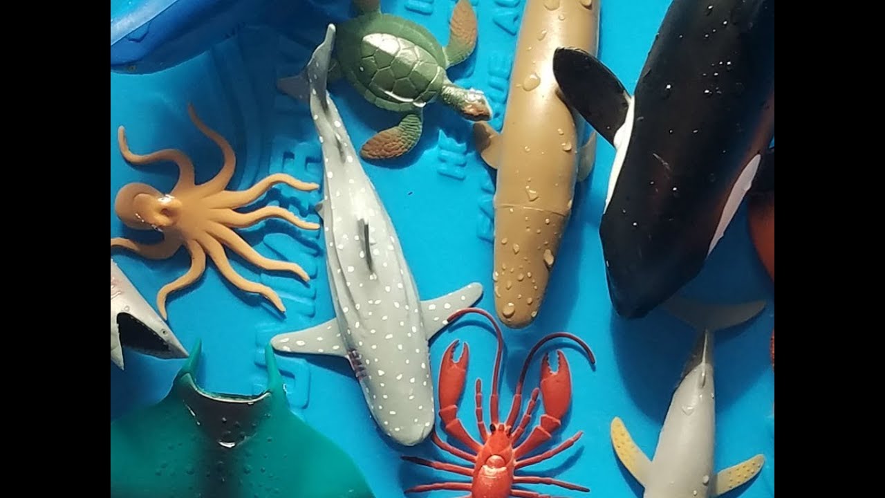 EasyLearning15's tweet card. LEARN SEA ANIMALS NAMES FOR KIDS NEW TOY VIDEOS FOR CHILDREN