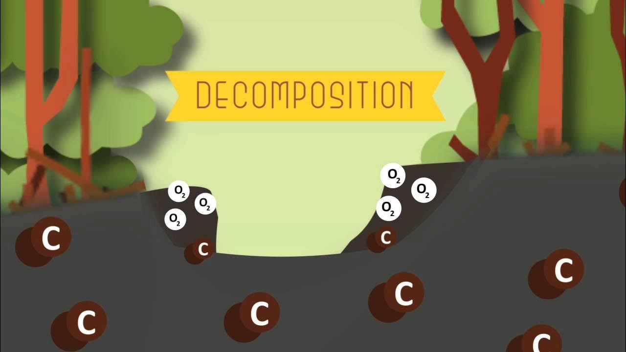 RobGeog's tweet card. Why peat matters?