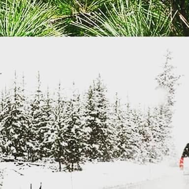 BCitgo's tweet card. Big Oak Citgo (@bigoakcitgoyardley) • Instagram photo