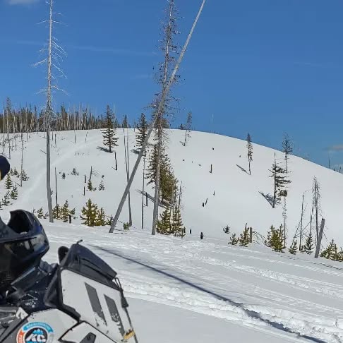 MrStiegler's tweet card. Scott Stiegler 🇺🇲 ❄️🛷 (@stig__ler) • Instagram photo