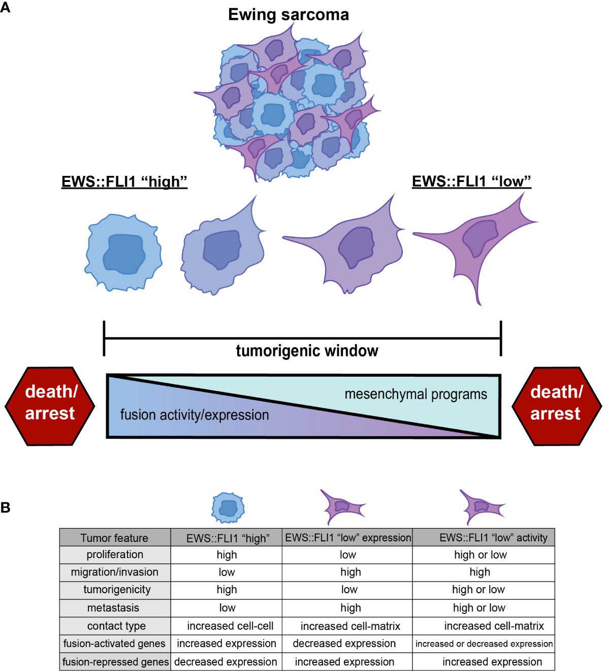 ApfelbaumApril's tweet card. Accumulating evidence shows that despite clonal origins tumors eventually become complex communities comprised of phenotypically distinct cell subpopulations...