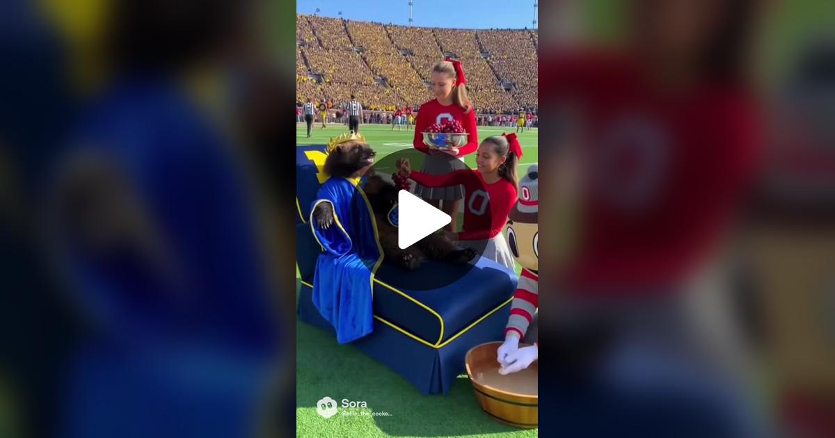 JonesSeeker's tweet card. 396 likes, 28 comments. “@swankywolverine @FOX Sports @Barstool Sports”