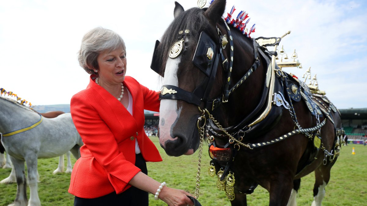 CarolineLucas's tweet card. The proportion of voters who favour a second Brexit referendum has overtaken those who do not for the first time, a YouGov poll for The Times shows. Voters have not changed sides over the question of...