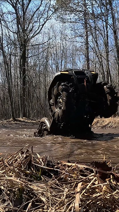 DayAshlie96125's tweet card. Tank Just Crawled out the Hole 💯 #leterripadventures #polaris...