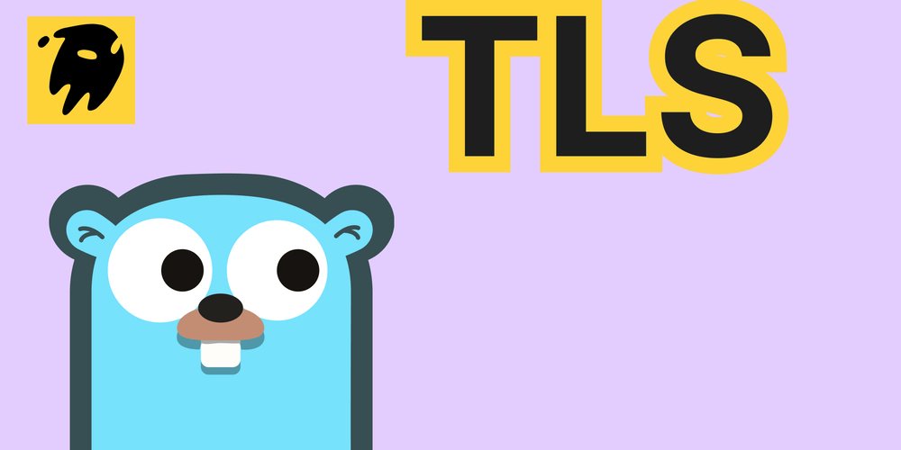 The_Python_DEV's tweet card. Leapcell: The Best of Serverless Web Hosting Explanation of the TLS Handshake...