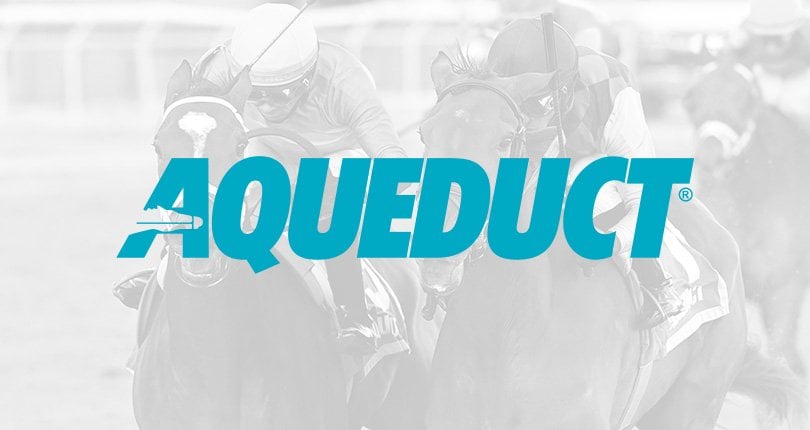 TheNYRA's tweet card. The New York Racing Association, Inc. (NYRA) has been forced to cancel the final eight races of Sunday’s nine-race card at Aqueduct Racetrack due to a protest lodged by the jockeys resulting in their...