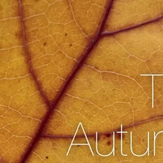 joelmckerrow's tweet card. Joel Mckerrow (@joelmckerrowcreative) • Instagram photo