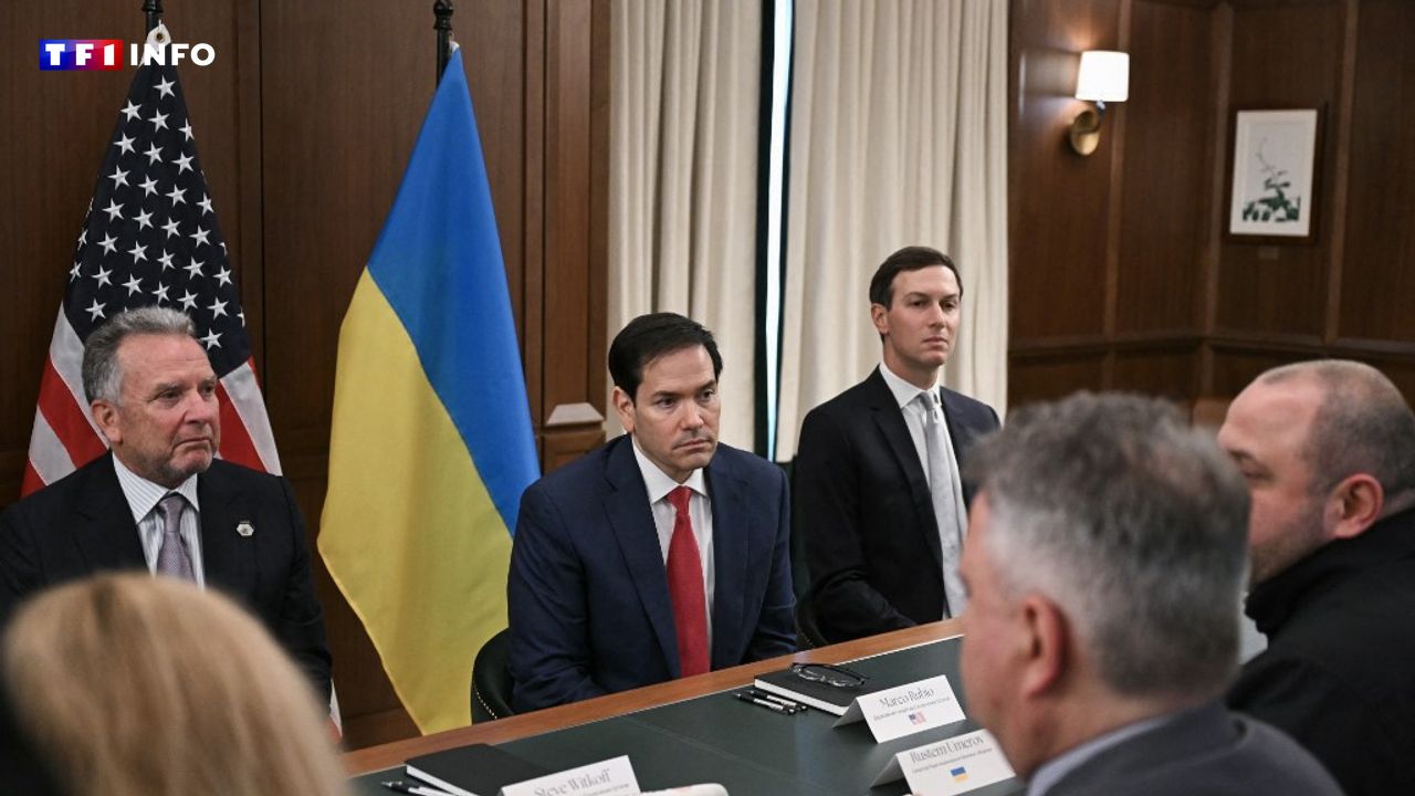 Annie_Rullier's tweet card. [VIDÉO] Des négociations entre la délégation ukrainienne et de hauts responsables américains ont débuté ce dimanche en Floride. Ces discussions autour du plan de paix américain ont pour objectif de...