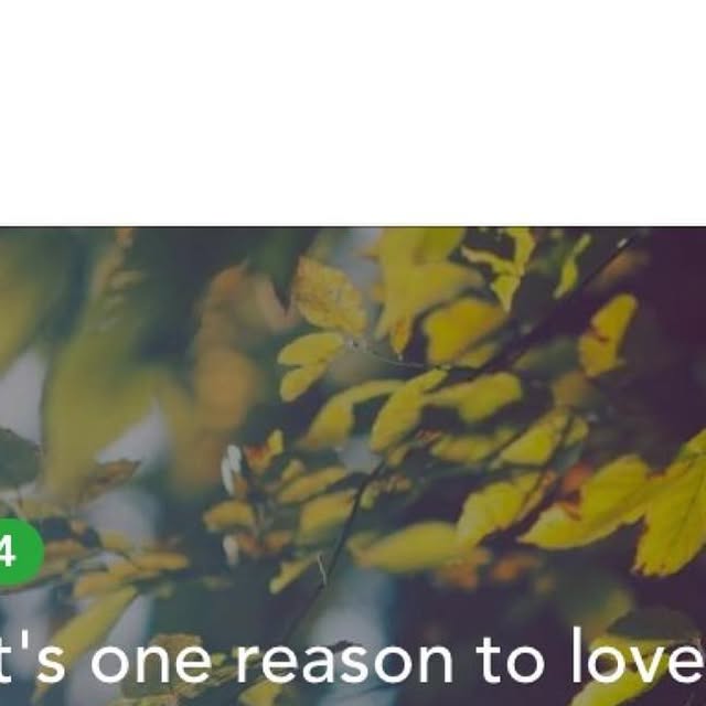 LoopifyApp's tweet card. Loopify (@loopify_app) • Instagram photo