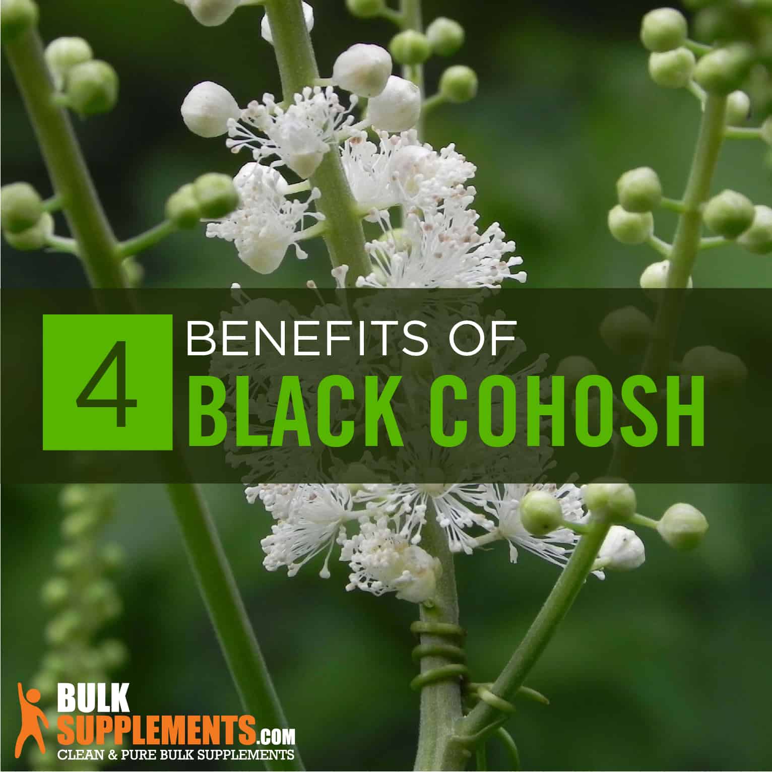 ScienceConnect2's tweet card. Learn more about Black Cohosh uses, effectiveness, side effects, interactions, dosage, user feedback and products that contain Black Cohosh.