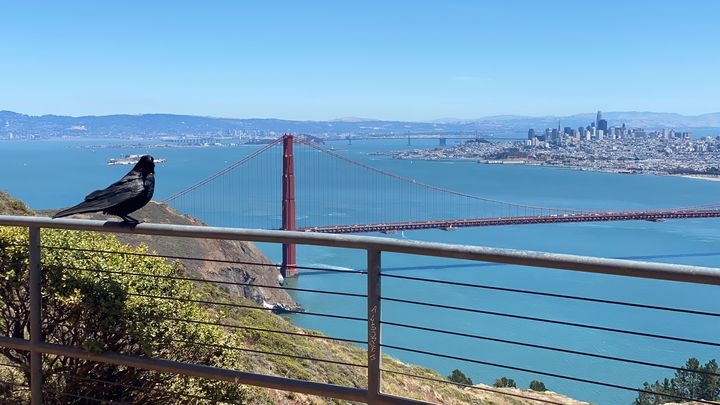 shadowdoc's tweet card. On July 2nd, 2021 I'm attempting an Everest, a deliciously simple event that requires climbing the same… Marc Kohli needs your support for Everest for Justice