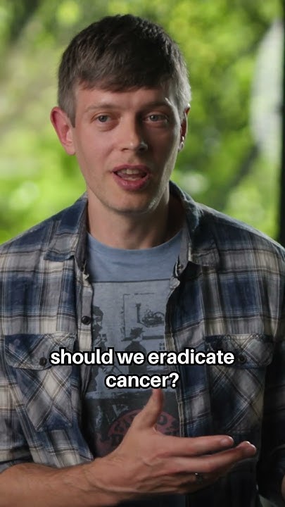 protocollabs's tweet card. What if we could reverse aging?